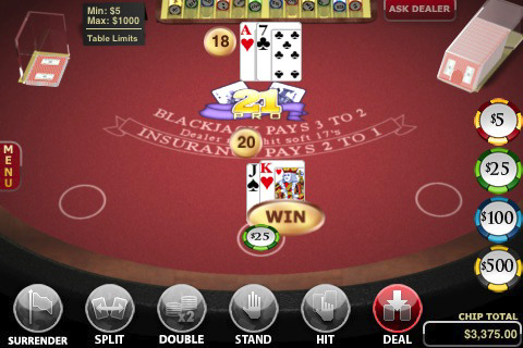 instaling Blackjack Professional